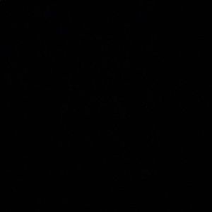 Meet your Posher, Maggie